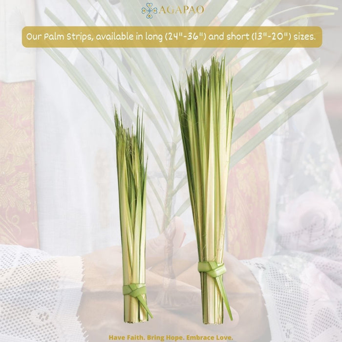 Palm Sunday Fresh Palm Strips - 100 Strips (Available in Short or Long Strips)