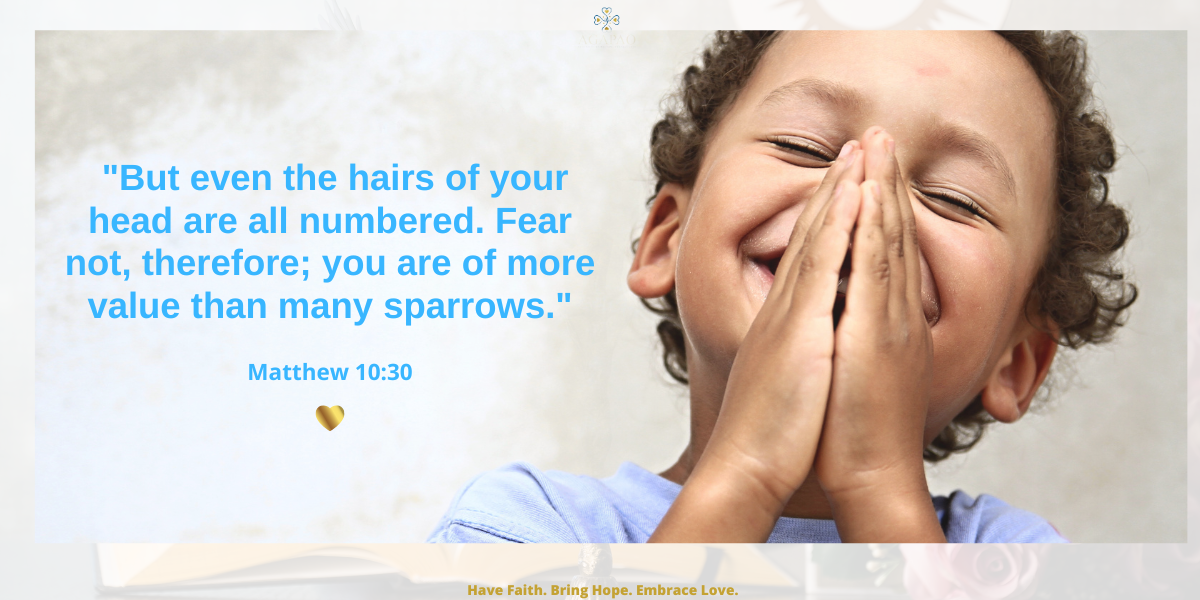 Gospel Lectio Divina for the Twelfth Sunday in Ordinary Time - June 18, 2023