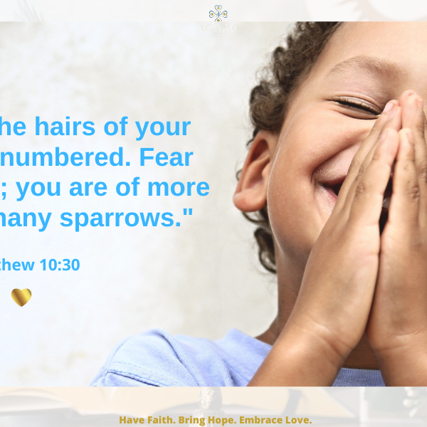 Gospel Lectio Divina for the Twelfth Sunday in Ordinary Time - June 18, 2023