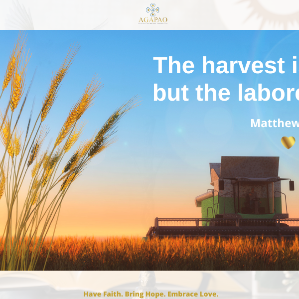 Gospel Lectio Divina for the Eleventh Sunday in Ordinary Time - June 18, 2023