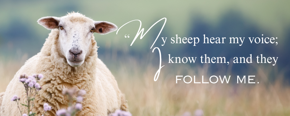 Lectio Divina, Fourth Sunday of Easter  May 11, 2025