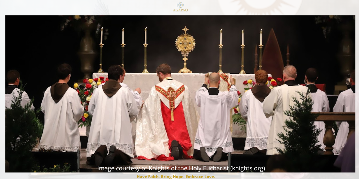 Pillar Two_ Truth, Goodness, and Beauty of the Eucharist