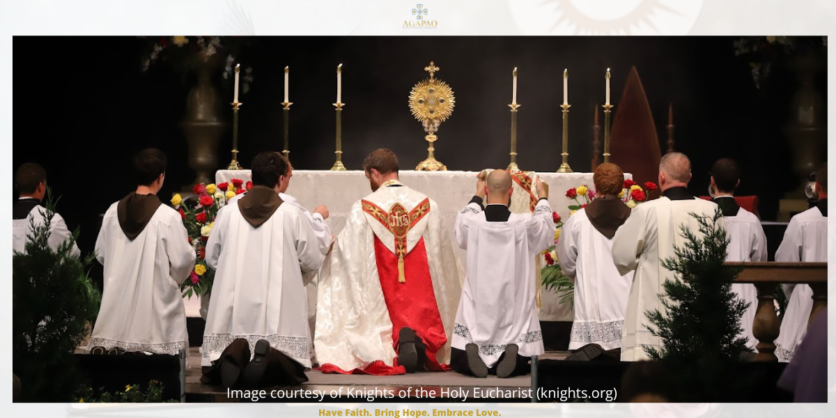 Eucharistic Revival Pillar Four: Reach the Smallest Unit: Parish Small Groups and Families