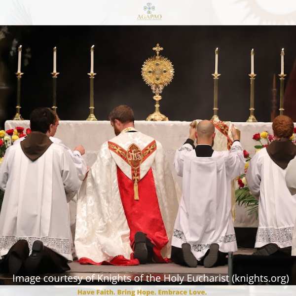 Eucharistic Revival Pillar Four: Reach the Smallest Unit: Parish Small Groups and Families