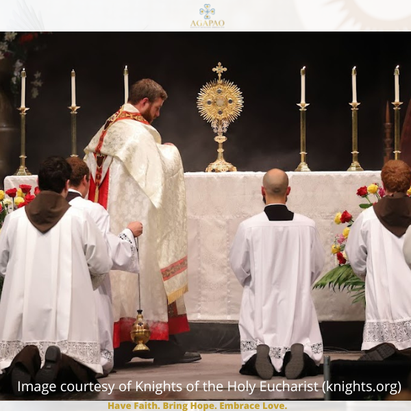 USCCB's Eucharistic Revival Pillar One: Fostering Encounters with Jesus through the Kerygma and Eucharist