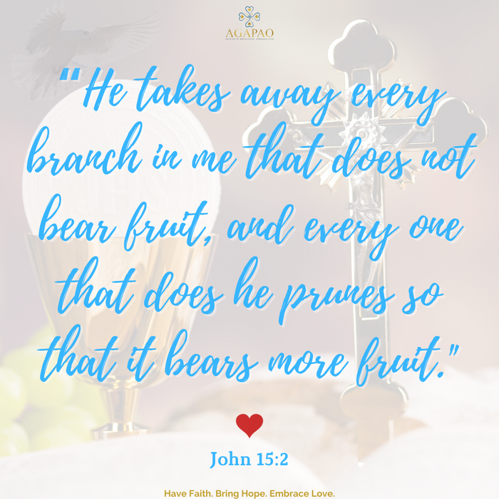 5th Sunday of Easter Lectio Divina May 02, 2021