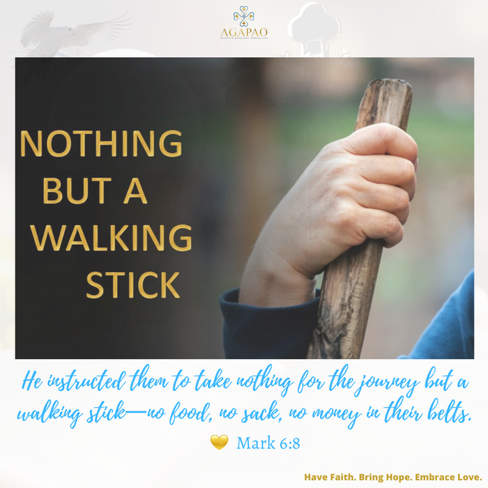 Lectio Divina for the 15th Sunday in Ordinary Time, July 11, 2021