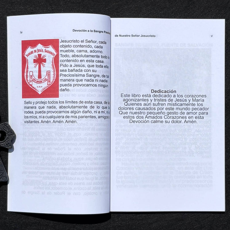 Devoción a Preciosisima Sangre Ntro Sr Jesucristo Book