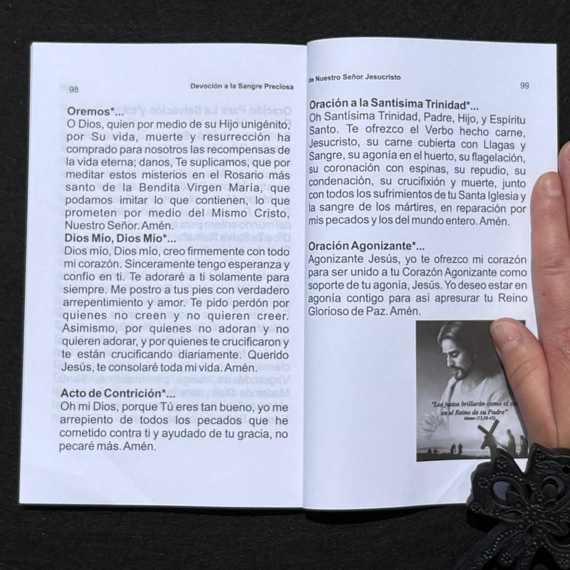 Devoción a Preciosisima Sangre Ntro Sr Jesucristo Book