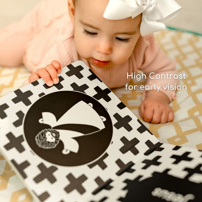Baby's 1st Catholic Book: A High Contrast Board Book