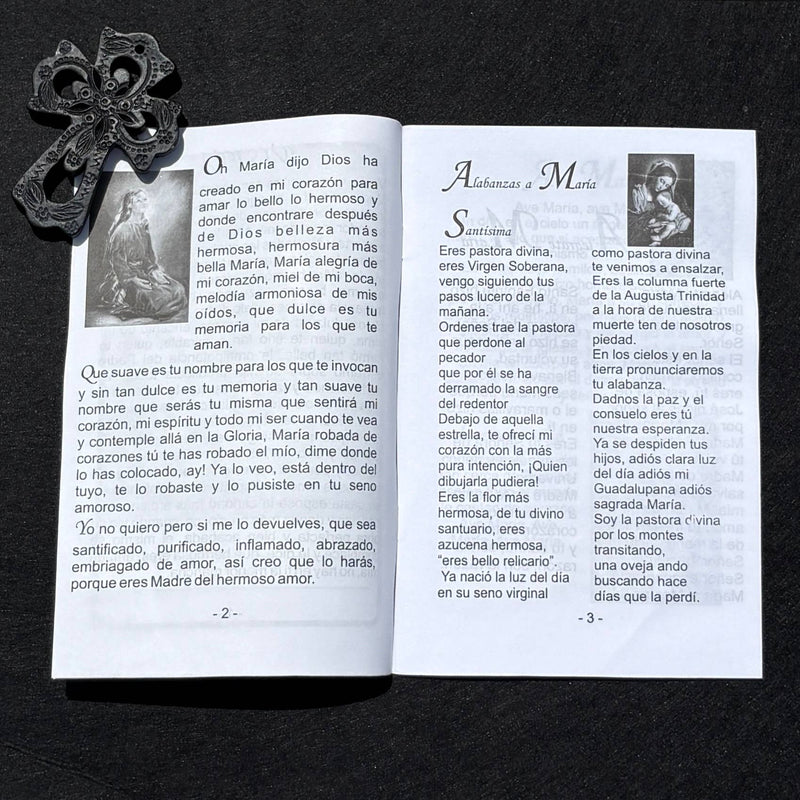 Cantos y Alabanzas a la Virgen Softcover Book