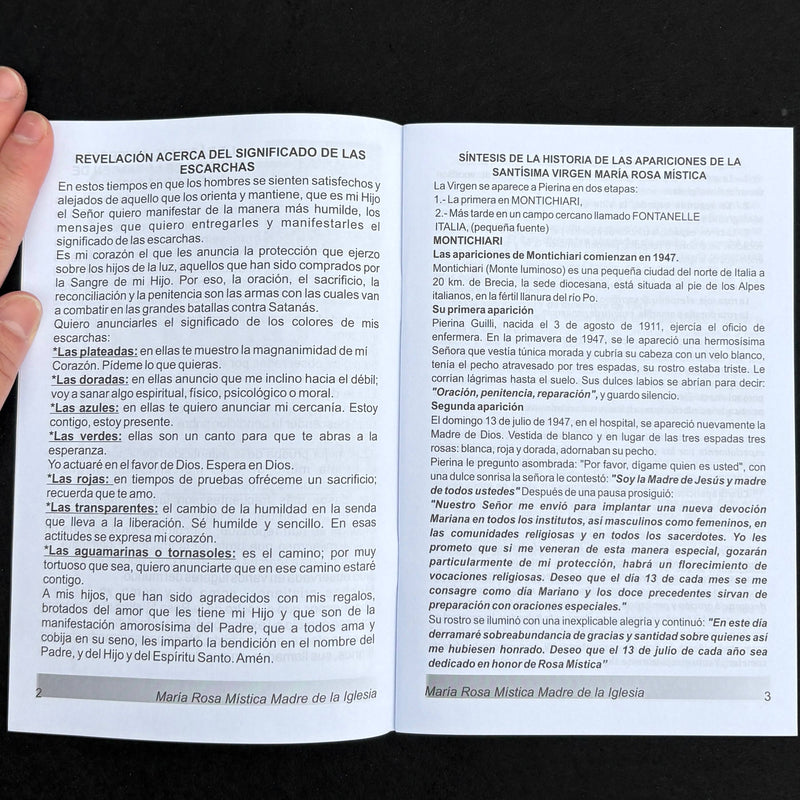 Maria Rosa Mistica Madre de La Iglesia Softcover Book