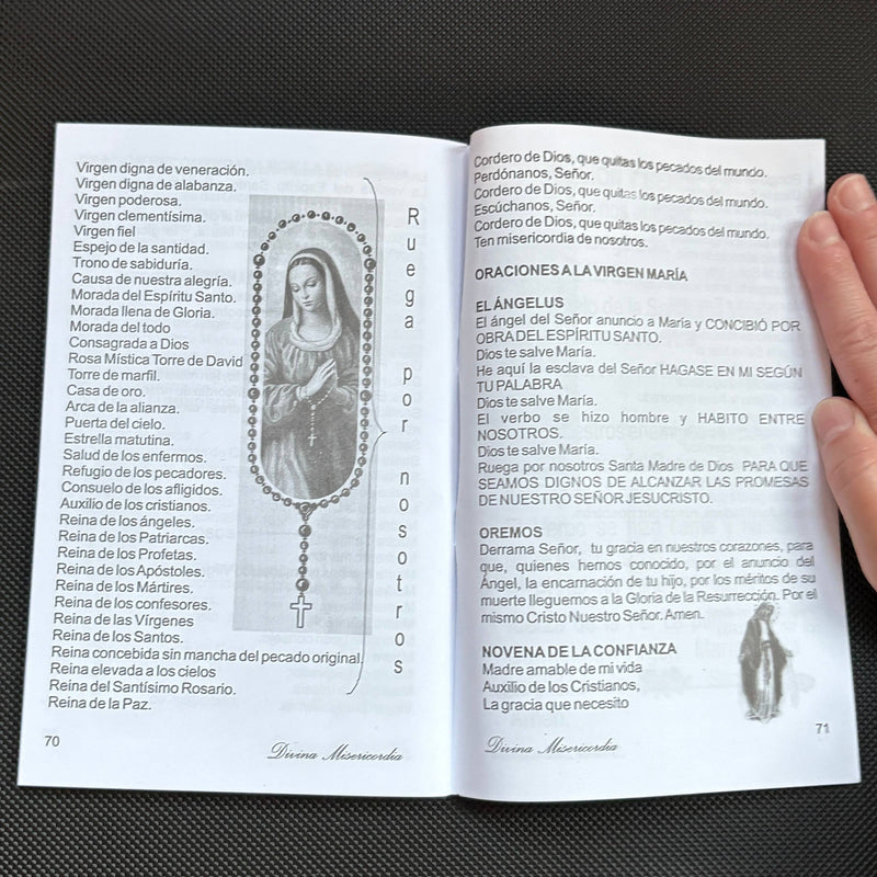 Devocion a la Divina Misericordia  Softcover Book