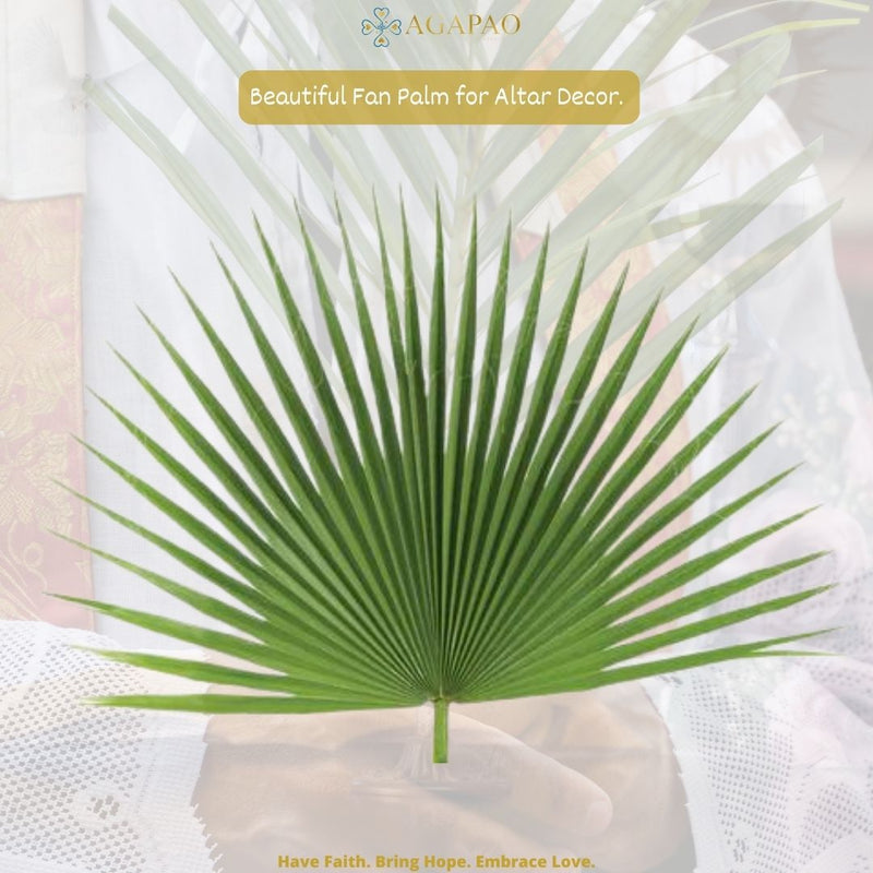 Fresh Palm Altar Decor - Fan Palm (Bag of 4)