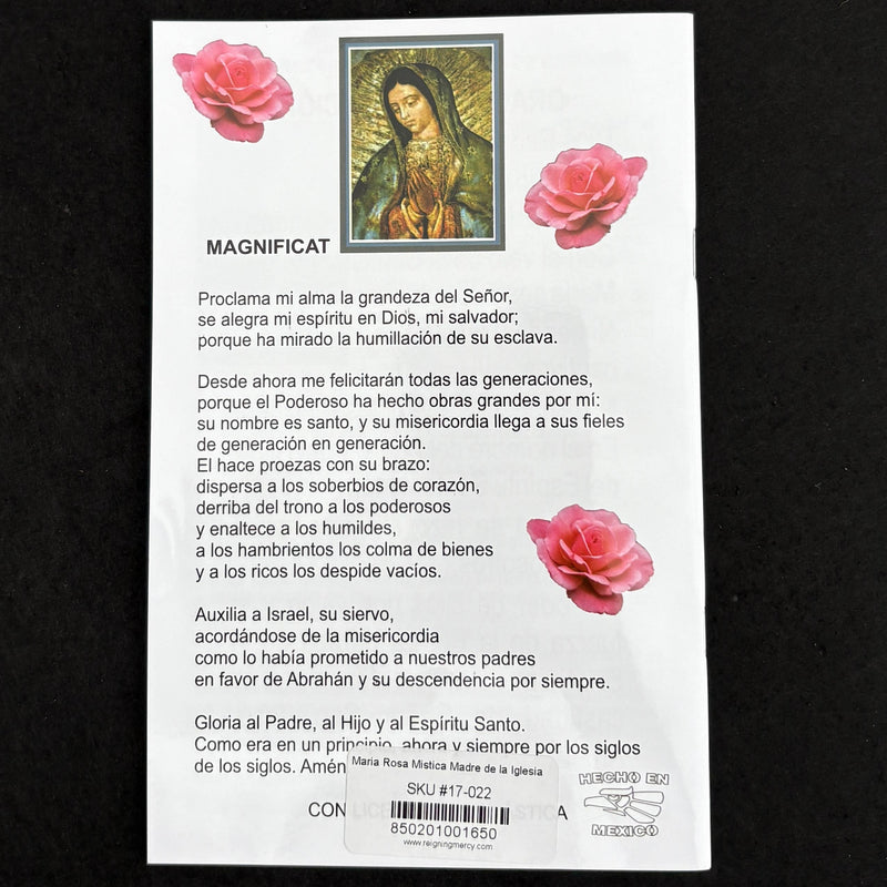 Maria Rosa Mistica Madre de La Iglesia Softcover Book