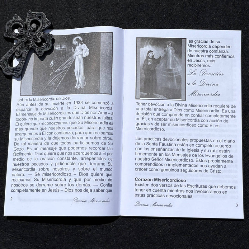 Devocion a la Divina Misericordia  Softcover Book