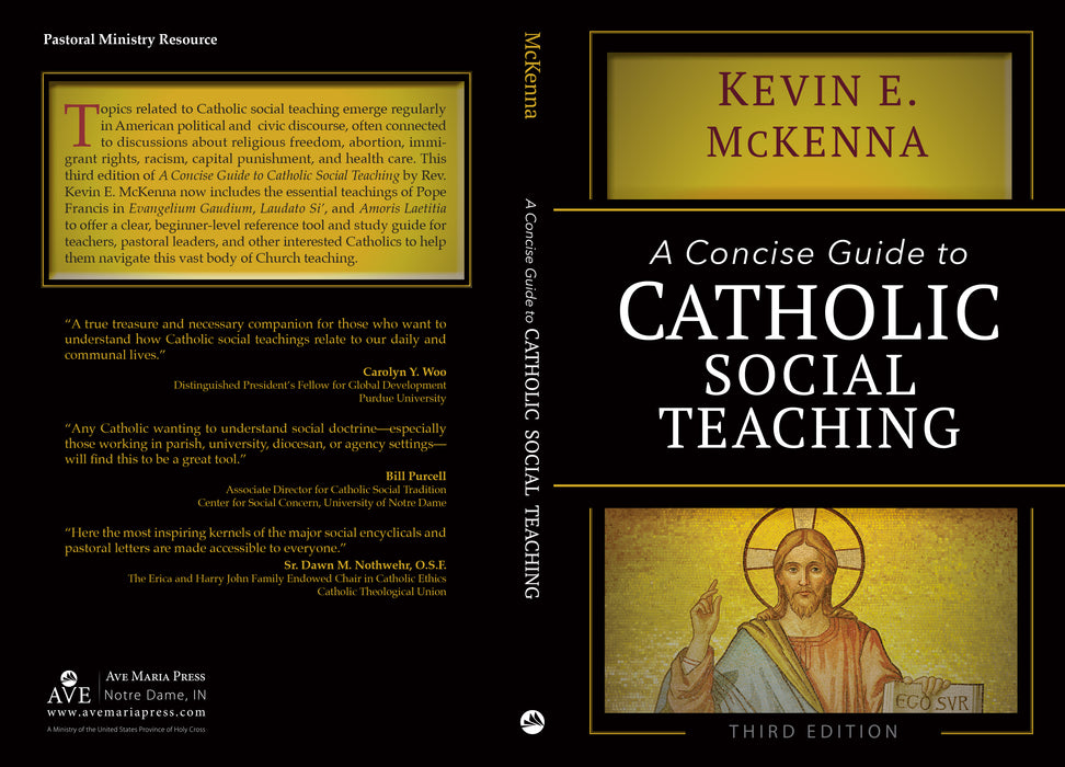 Una guía concisa para la enseñanza social católica (tercera edición)