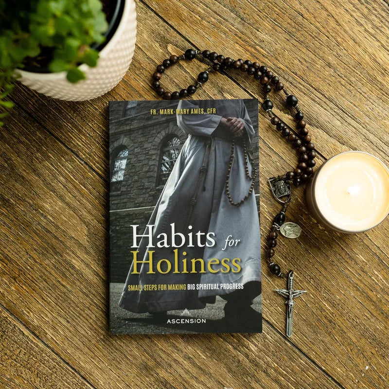 Habits for Holiness: Small Steps for Making Big Spiritual Progress by Fr. Mark Mary Ames