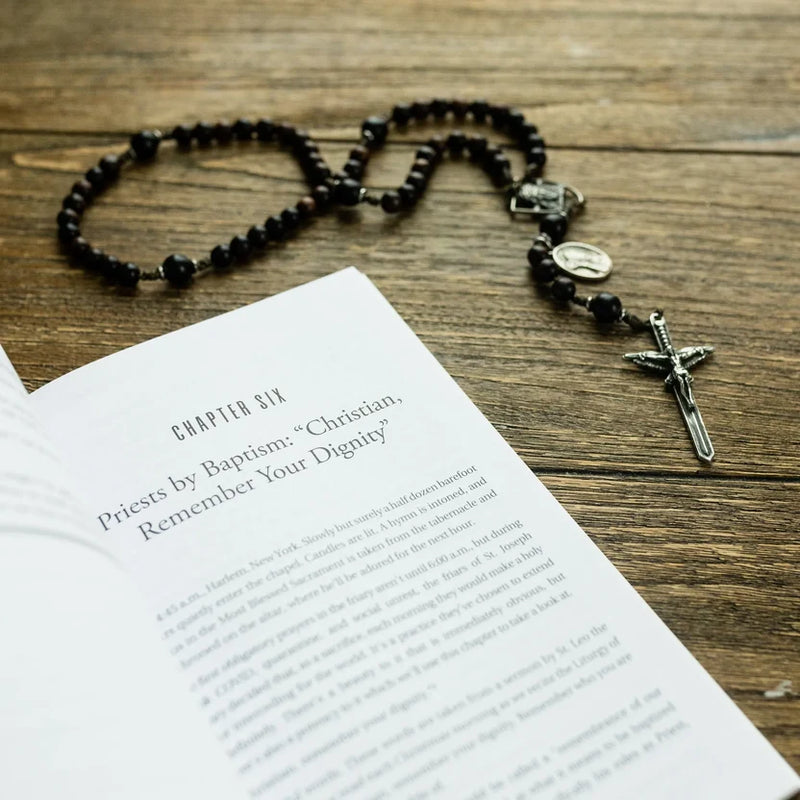 Habits for Holiness: Small Steps for Making Big Spiritual Progress by Fr. Mark Mary Ames