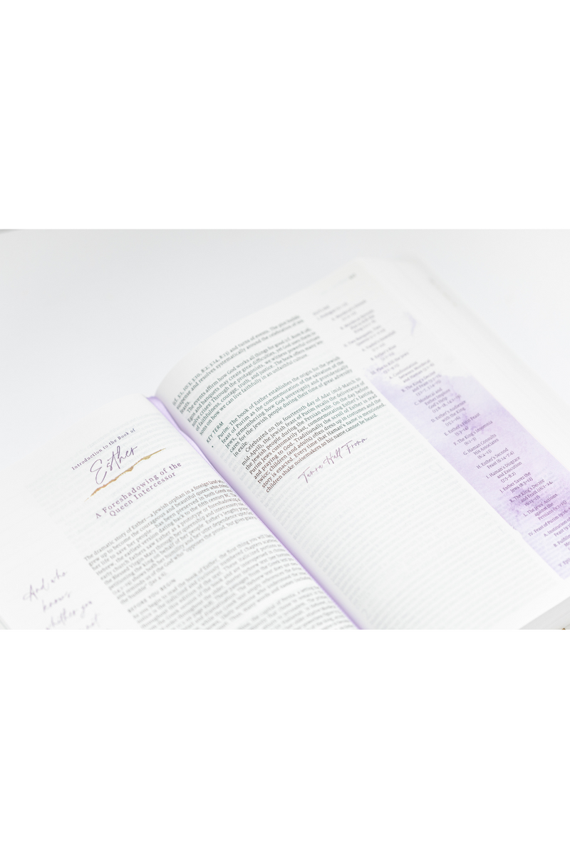 Living the Word Catholic Women’s Bible