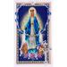 Miraculous Auto Rosary with Card Set