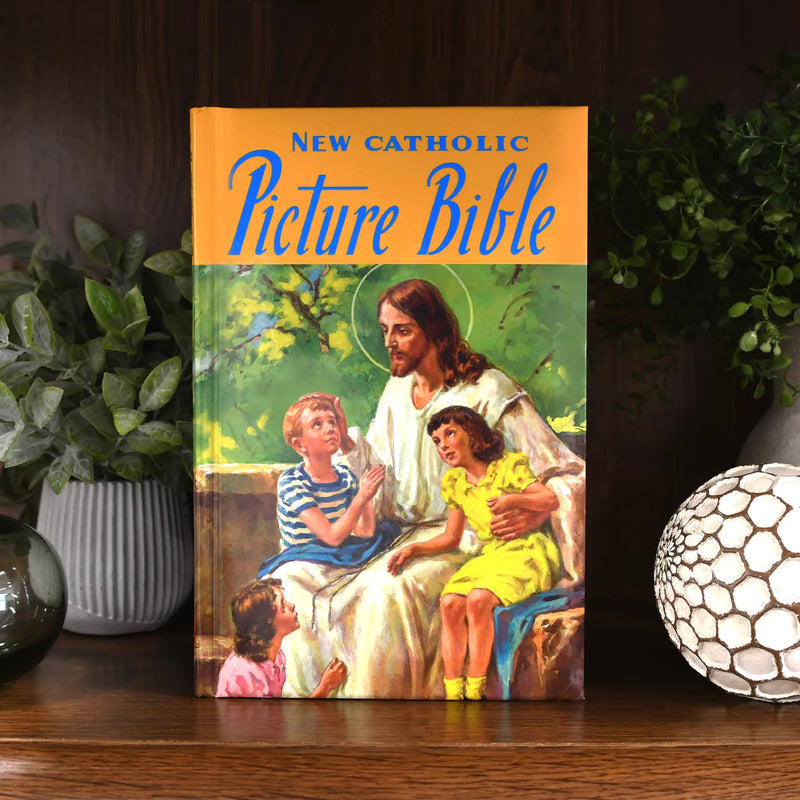 Nueva Biblia católica con imágenes: 2 piezas por paquete