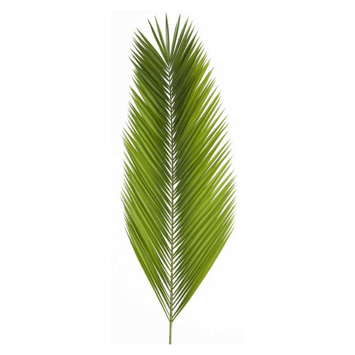 Palm Altar Decor - Dates Leaf Palm