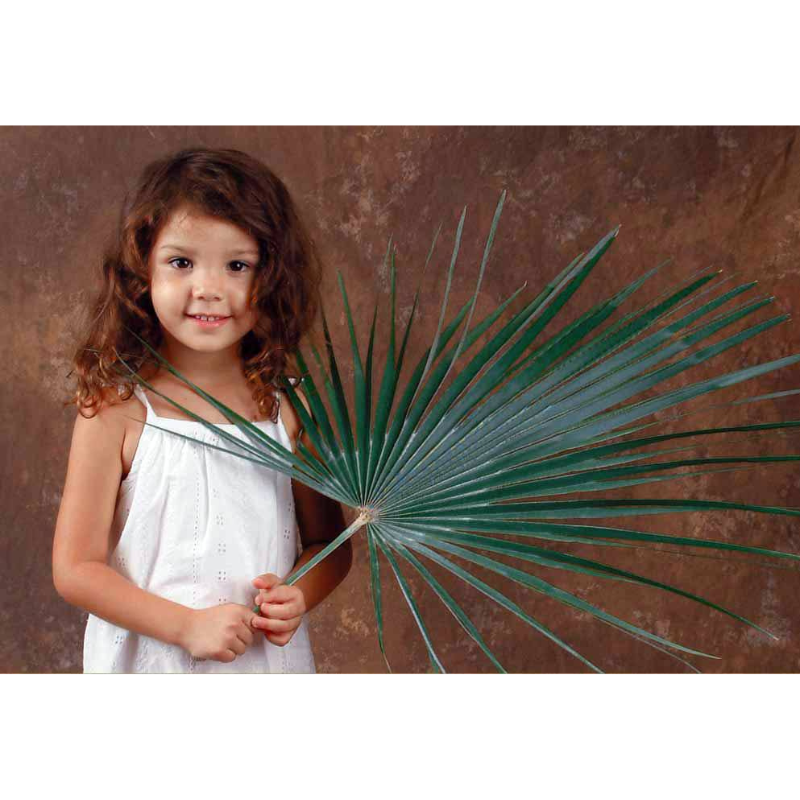 Palm Altar Decor - Mediterranean Palm