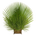 Palm Altar Decor - Fan Palm