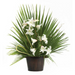 Palm Altar Decor - Dates Leaf Palm