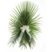 Palm Altar Decor - Fan Palm