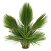 Palm Altar Decor - Fan Palm