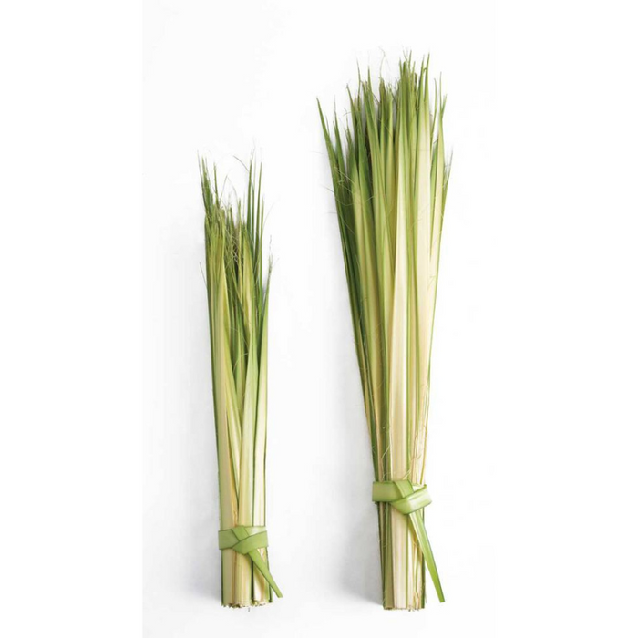 Palm Sunday Palm Strips - 2 Size Variants
