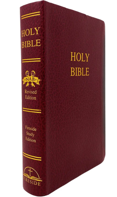 Fireside Study Bible