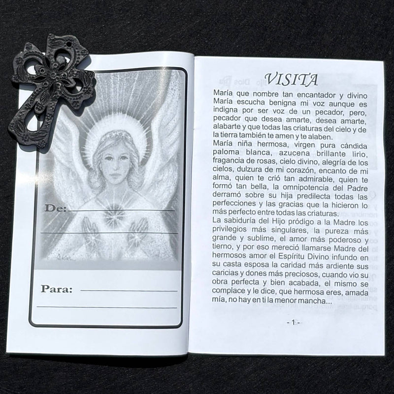 Cantos y Alabanzas a la Virgen Softcover Book