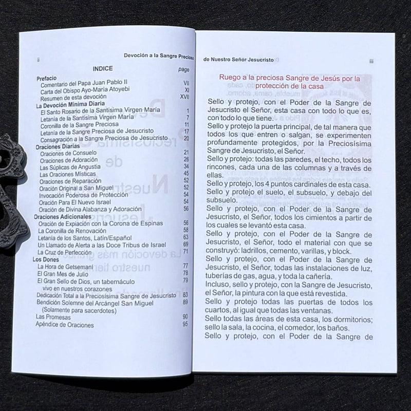 Devoción a Preciosisima Sangre Ntro Sr Jesucristo Book