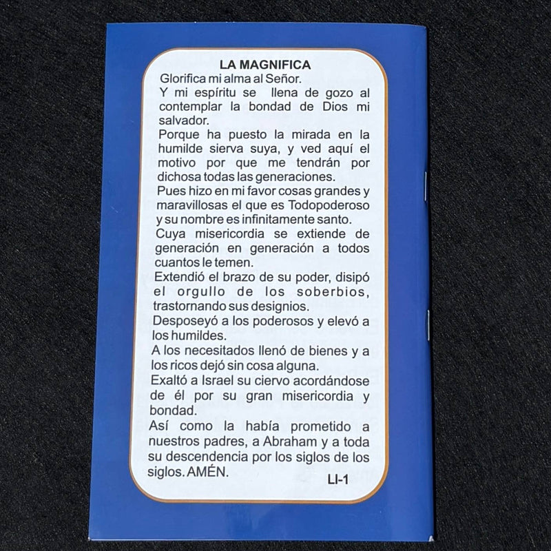 Devocion a la Divina Misericordia  Softcover Book