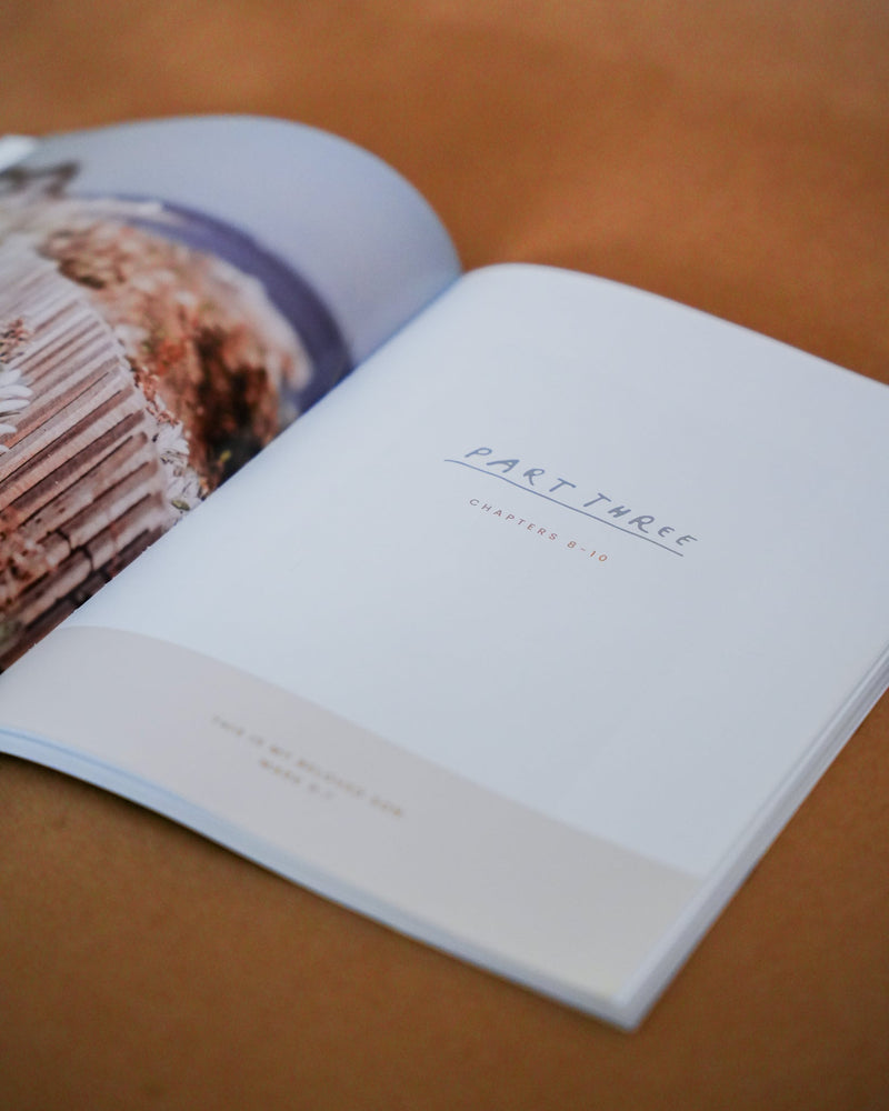 Gospel of Mark Bible Study