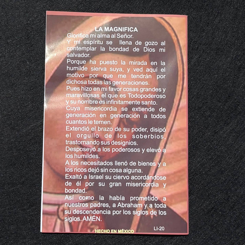 Cantos y Alabanzas a la Virgen Softcover Book