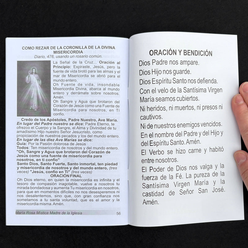 Maria Rosa Mistica Madre de La Iglesia Softcover Book