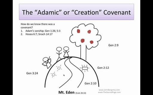 Bible Basics for Catholics