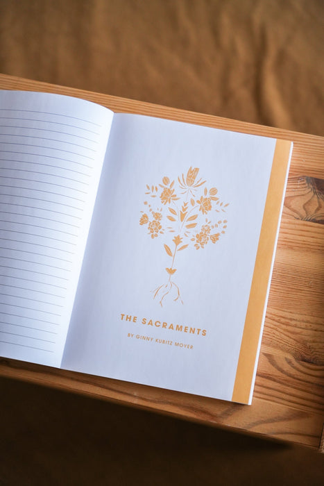 Rooted // Blessed Conversations Study on the Catechism