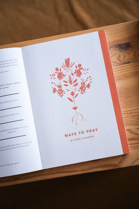 Rooted // Blessed Conversations Study on the Catechism