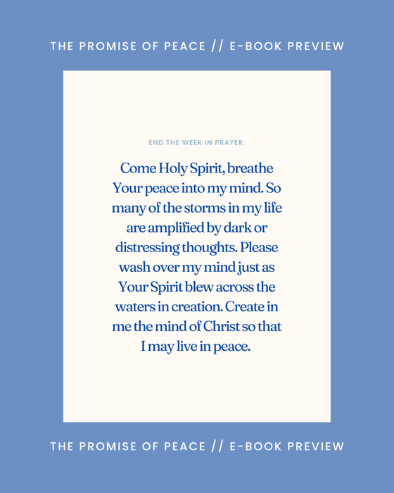 The Promise of Peace E-Book // 21 Day Devotional to True Peace