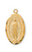Miraculous Medal Gold Over Sterling Silver 18" with Gold Plated Chain