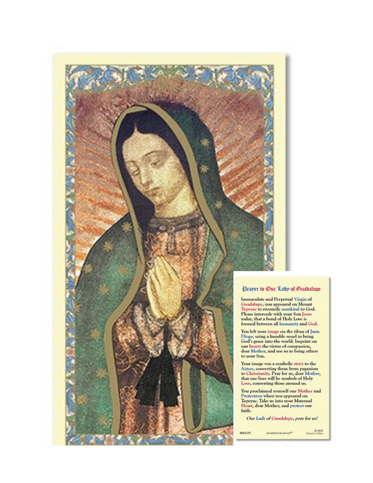 Our Lady of Guadalupe 25pcs Laminated Holy Card with a Prayer Guide a perfect token for everyone family and friends on any occasion or celebration