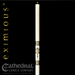 Christus Rex Paschal Candle - Cathedral Candle - Beeswax - 17 Sizes