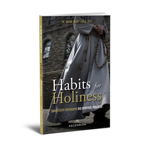 Habits for Holiness: Small Steps for Making Big Spiritual Progress by Fr. Mark Mary Ames