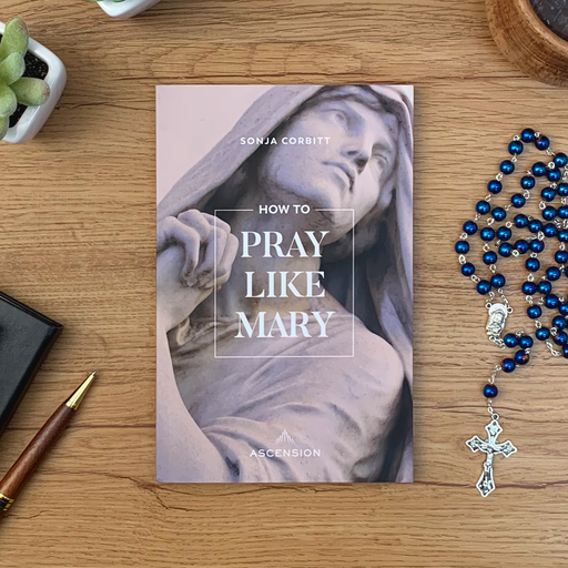 How to Pray Like Mary [Book]
