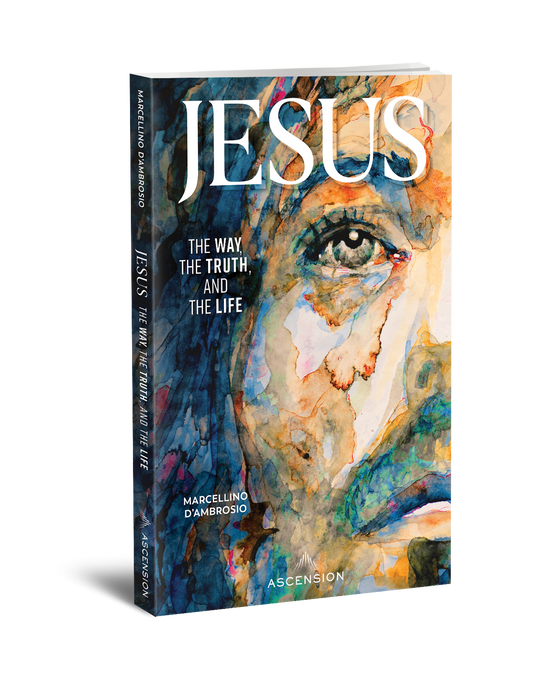 Jesus: The Way, the Truth, and the Life Book by Marcellino D’Ambrosio